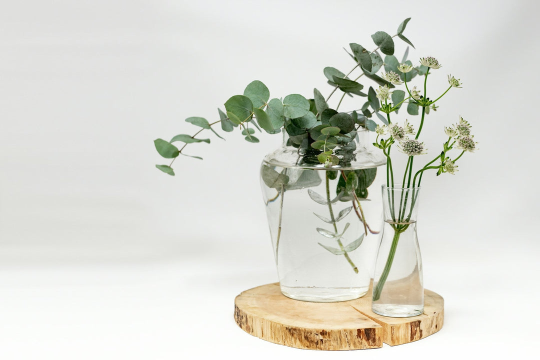 Glass Vases